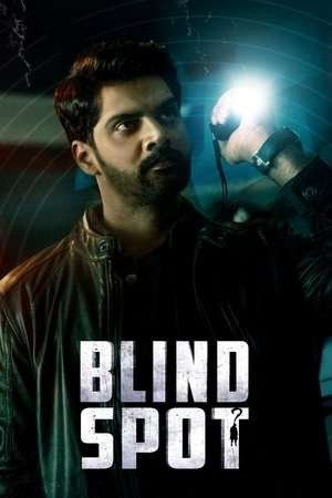 Blind Spot (2025) - Poster
